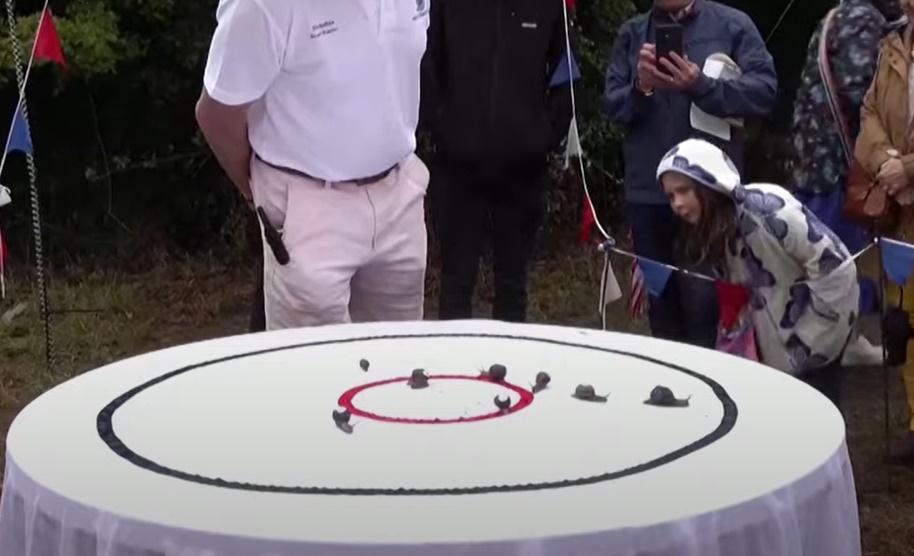 蝸牛的比賽場地就在一張枱上,攤開一張畫了兩個圓形,加一點水。(YouTube)