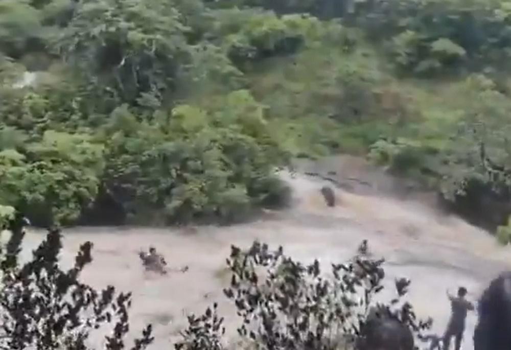 不到1分鐘,這家人就被洶湧的水流沖走,只能絕望尖叫求救。(X)