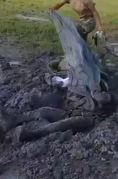 Velázquez已經失去生命跡象,巨大衝力讓他在地面撞出一個大坑。(X)