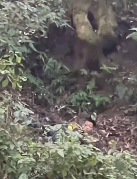 影片結尾見男童起來離開,未知有沒有受傷。(微博)