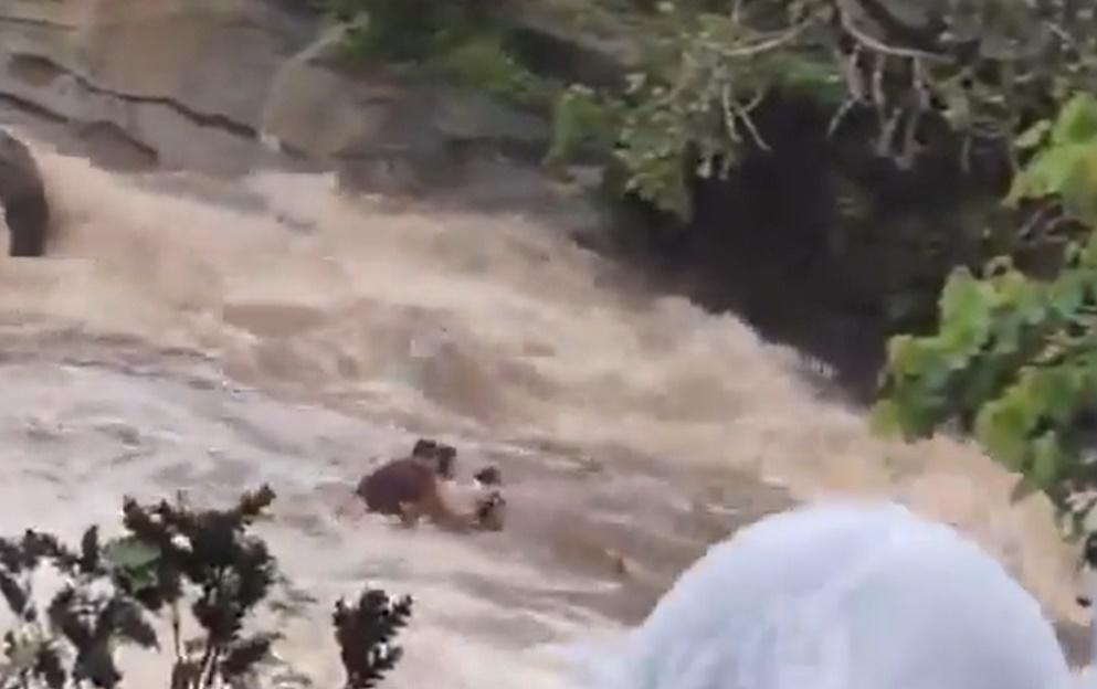 不到1分鐘,這家人就被洶湧的水流沖走,只能絕望尖叫求救。(X)