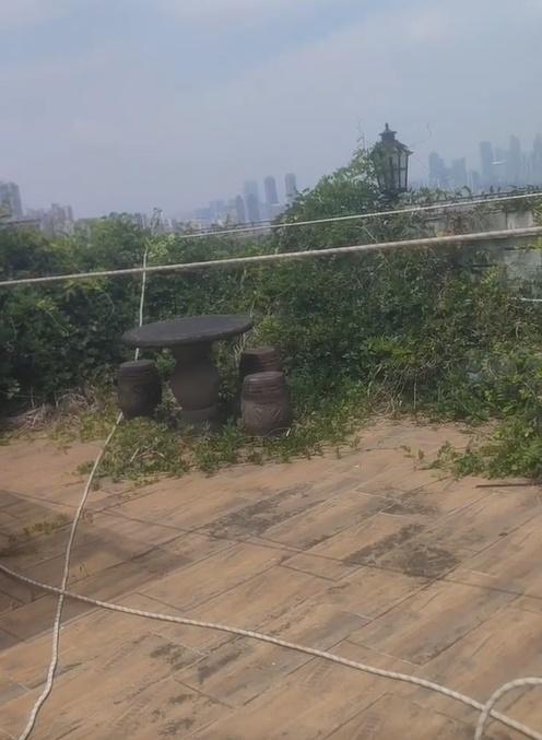 56歲業主不滿在高層屋頂搭建的花園瓷磚、庭院燈等遭損壞。(微博)