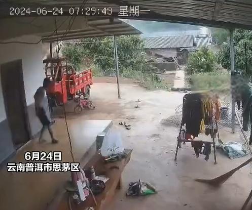 阿利車通過家中的CCTV目睹這一幕,進入他家的大象共有6頭,包括一隻小象和5隻成年大象。(微博)
