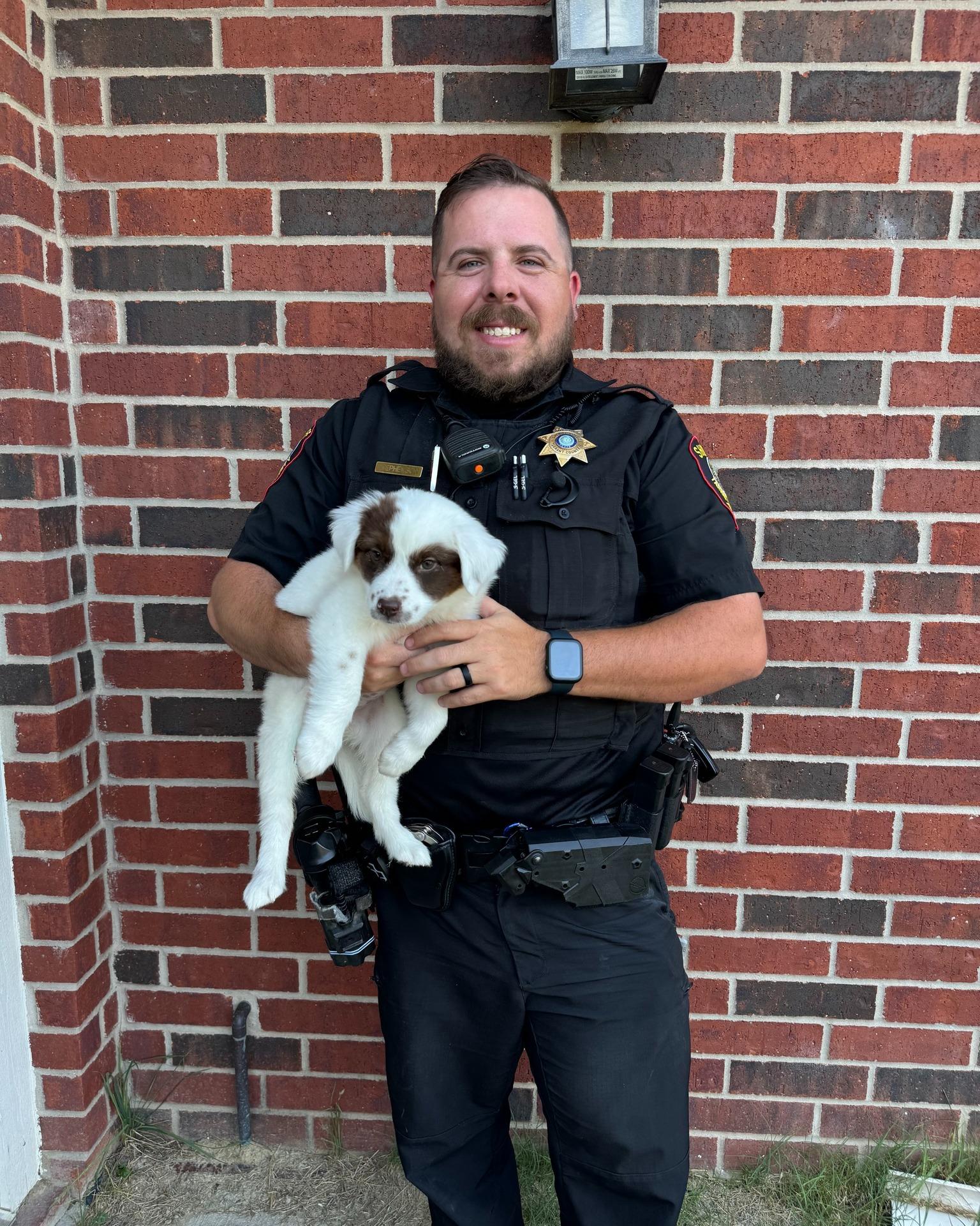 Haley的同袍已收養其中一隻小狗,給牠一個安穩的家。(FB)