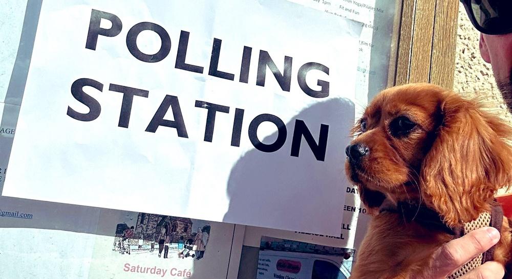 投票站狗狗「#dogsatpollingstations」。(X)