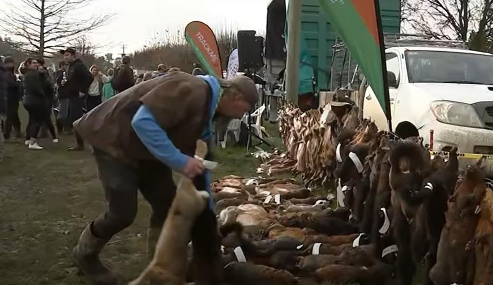 參賽者還可狩獵野鹿、野豬、野兔、水鳥等動物。(FB)