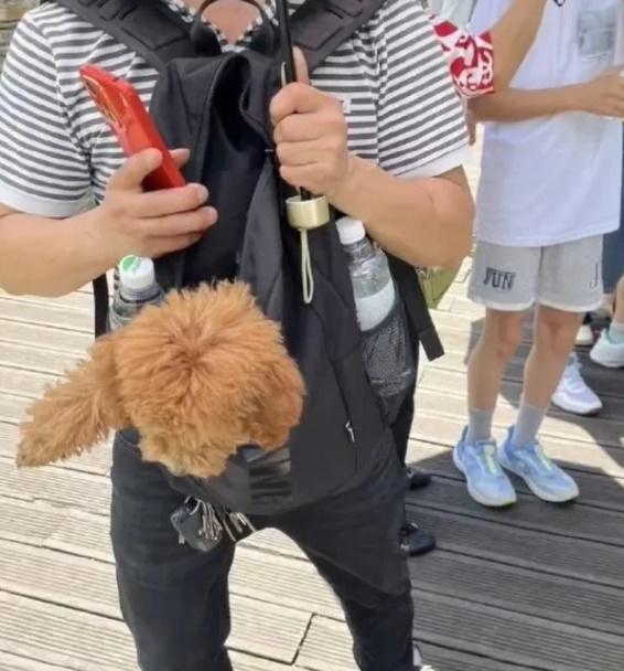 園區發現一行4名男女,明知道園區內不得攜帶寵物進入,仍偷偷將一隻狗藏在隨身包包內。(微博)