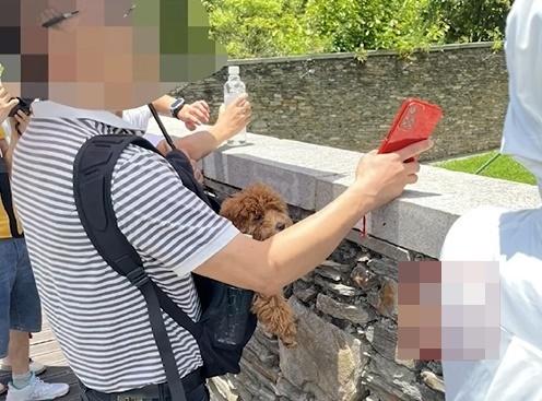 園區發現一行4名男女,明知道園區內不得攜帶寵物進入,仍偷偷將一隻狗藏在隨身包包內。(微博)