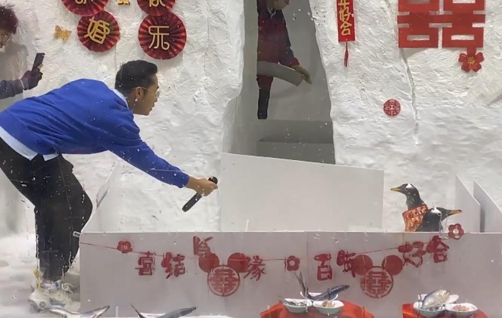 企鵝飼養員:「一叩首,二叩首,三叩首。」新郎、新娘似懂非懂。(微博)