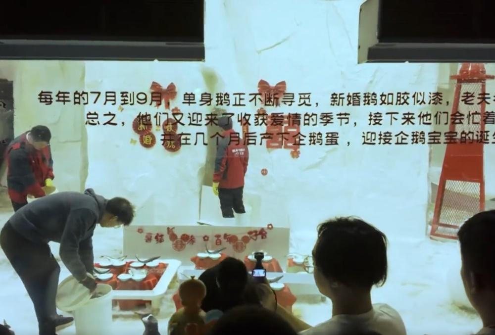 企鵝新人卻有得睇無得食的尷尬模樣,令到場觀禮的遊客和網民直呼,真的好寫實。(微博)