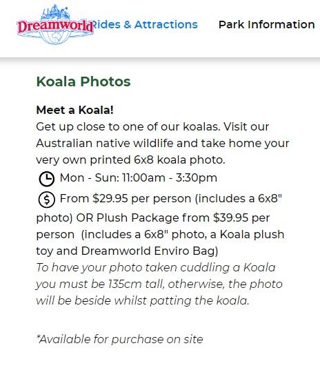 黃金海岸的「夢幻世界遊樂園」(Dreamworld)仍有讓遊客抱樹熊活動。(網上截圖)