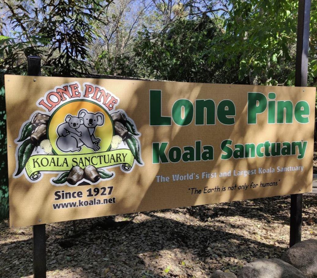 龍柏野生動物園(The Lone Pine Koala Sanctuary)。(網上圖片)