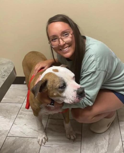 Brittany與Ruger團聚。(X)