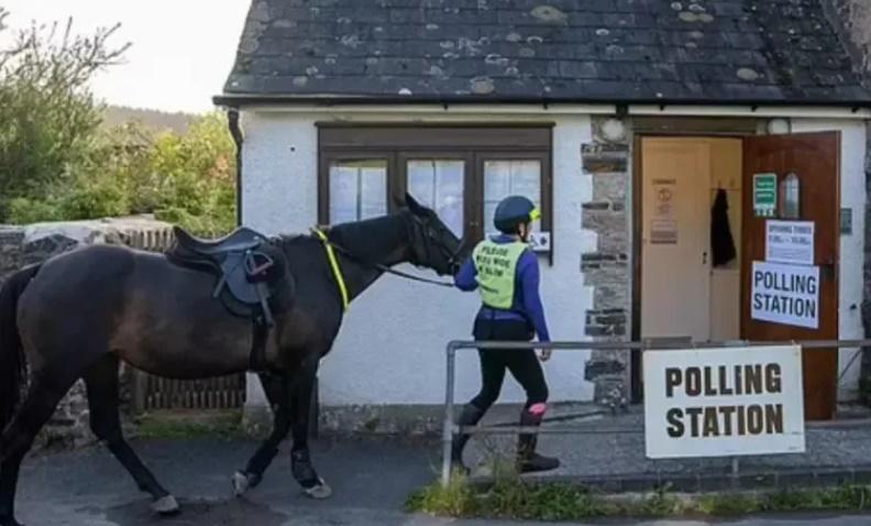 貓、公雞、馬一同去「投票」。(X)