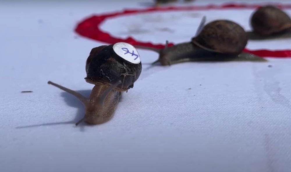 Jeff幾乎由頭帶到尾一路衝刺,順利摘下世界冠軍頭銜。(YouTube)