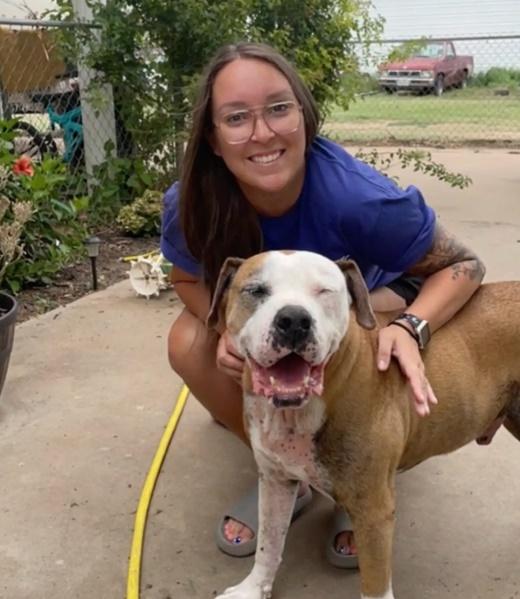 Brittany與Ruger團聚。(X)