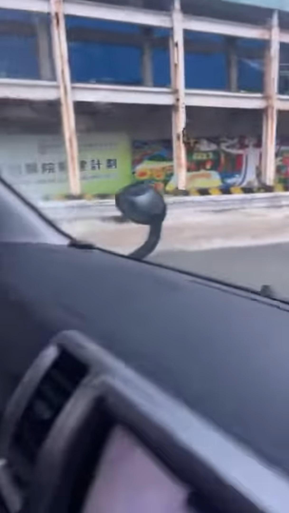 車輛需涉水而行。(網上圖片)