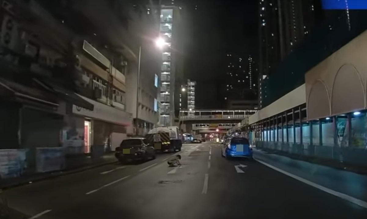 車Cam直擊|神秘男子晚間半蹲在馬路上。(網片截圖)