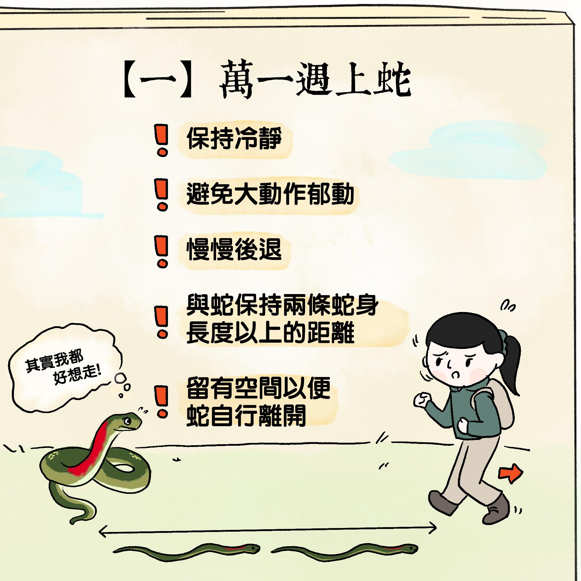 被蛇咬處理|萬一遇上蛇要保持冷靜(香港郊野公園FB)