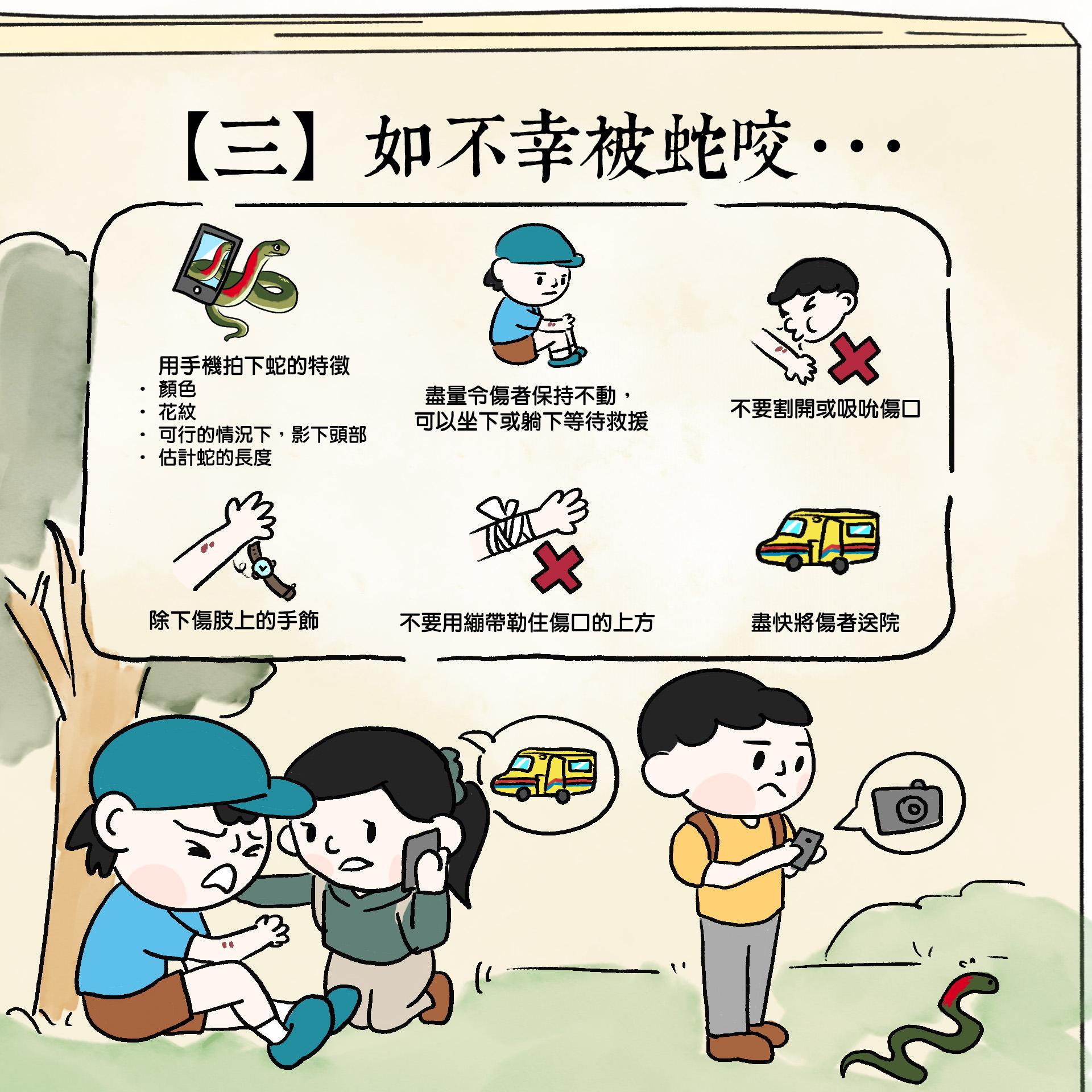 被蛇咬處理|如不幸被蛇咬(香港郊野公園FB)