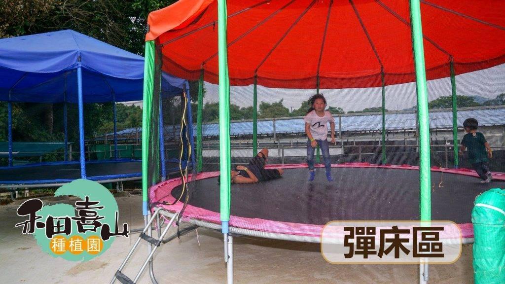 親子農莊推介|4. 沙頭角禾田喜山種植園