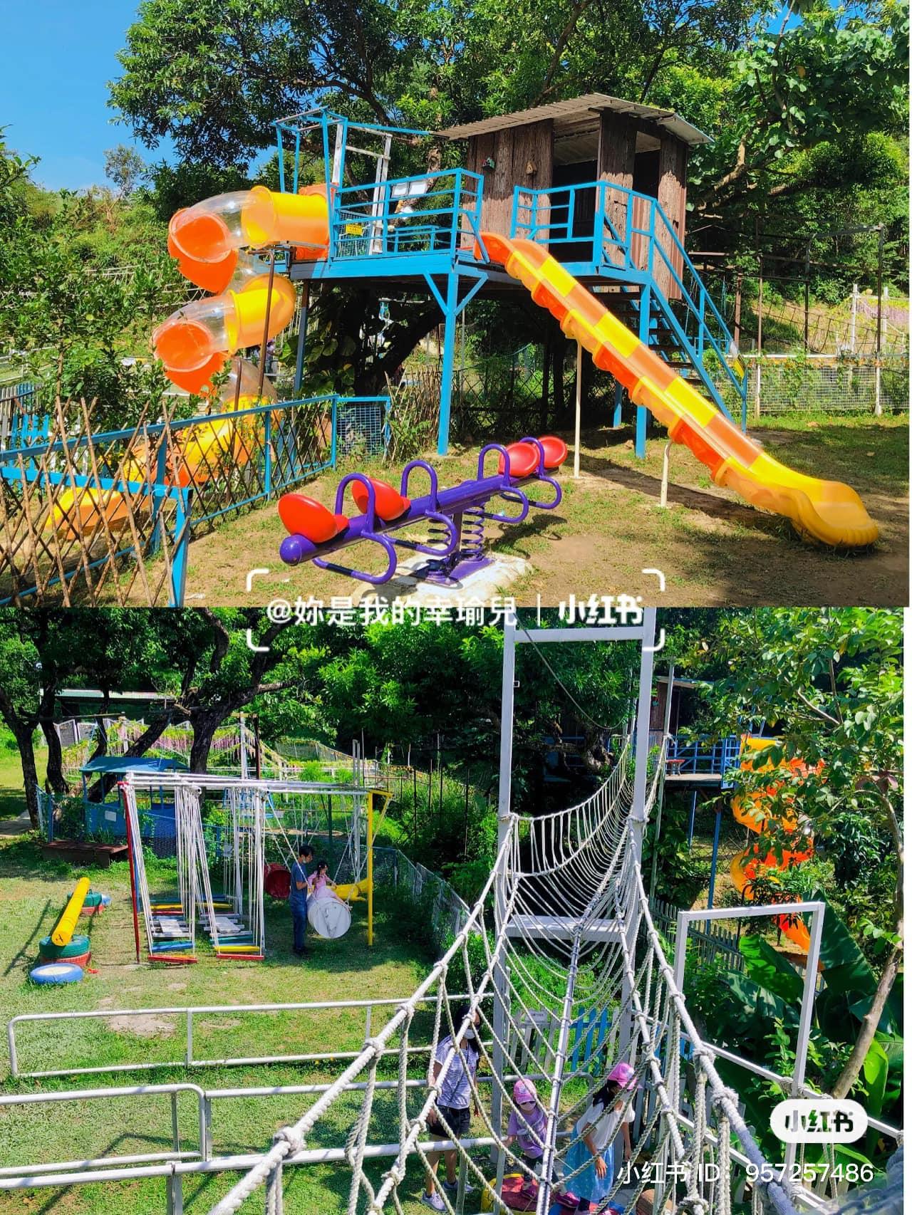 親子農莊推介|3. 元朗小白兔音樂農莊