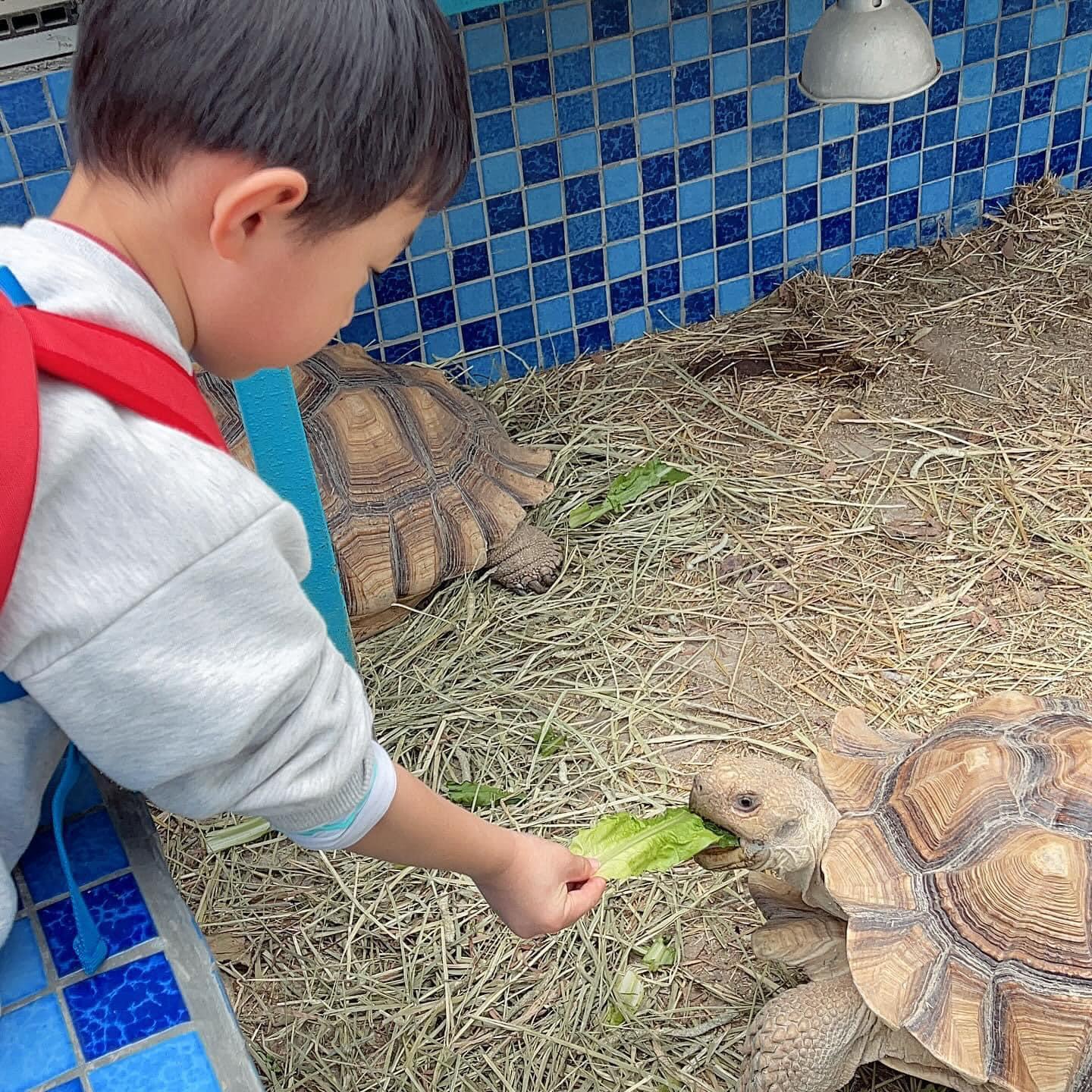 親子農莊推介|3. 元朗小白兔音樂農莊
