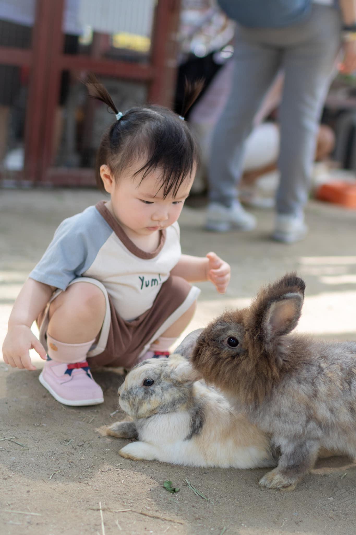 親子農莊推介|3. 元朗小白兔音樂農莊