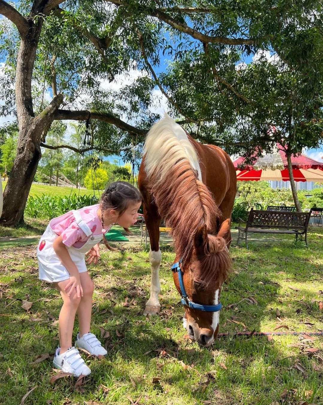 親子農莊推介|5. 元朗菠蘿園有機薈低碳農莊