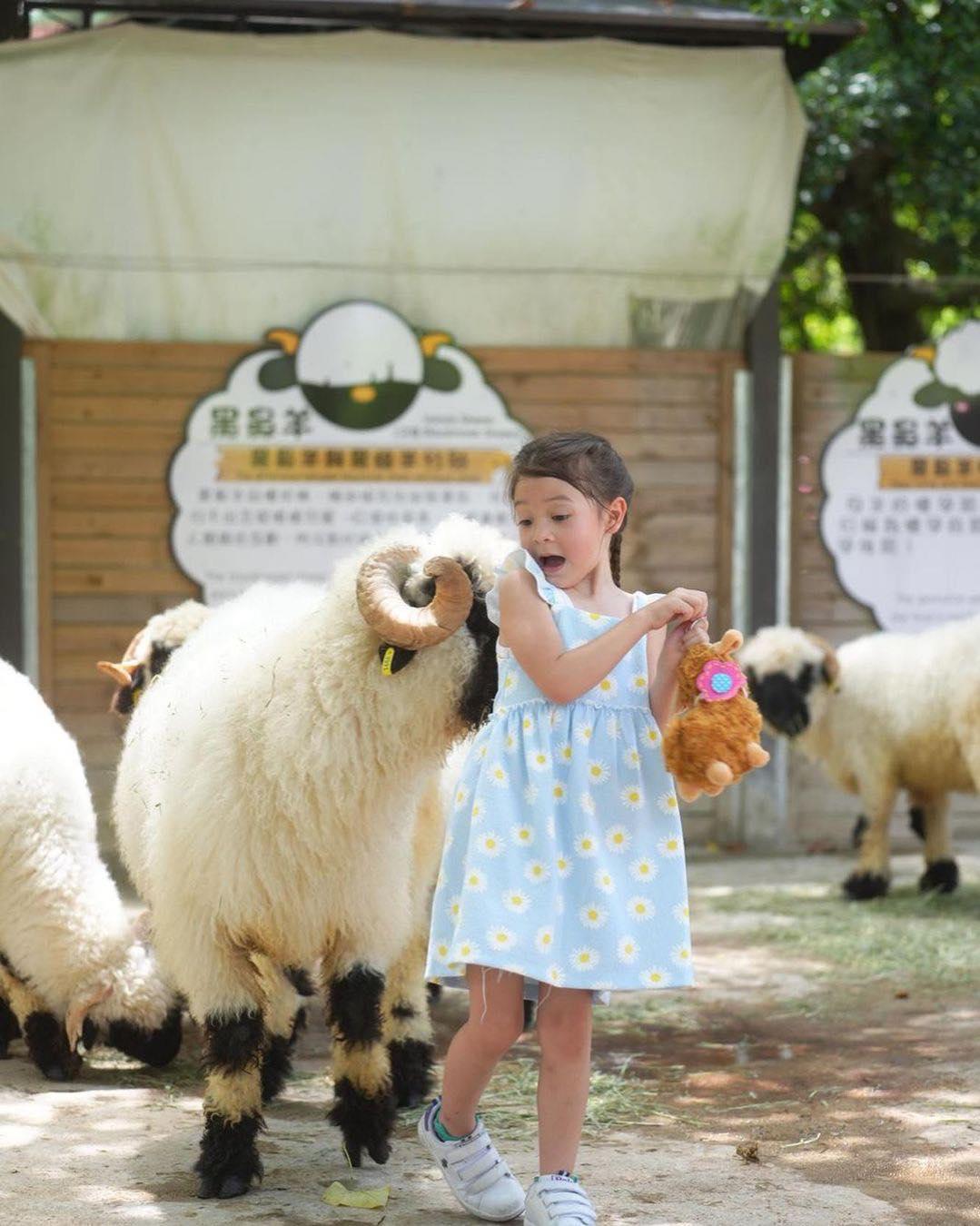 親子農莊推介|5. 元朗菠蘿園有機薈低碳農莊