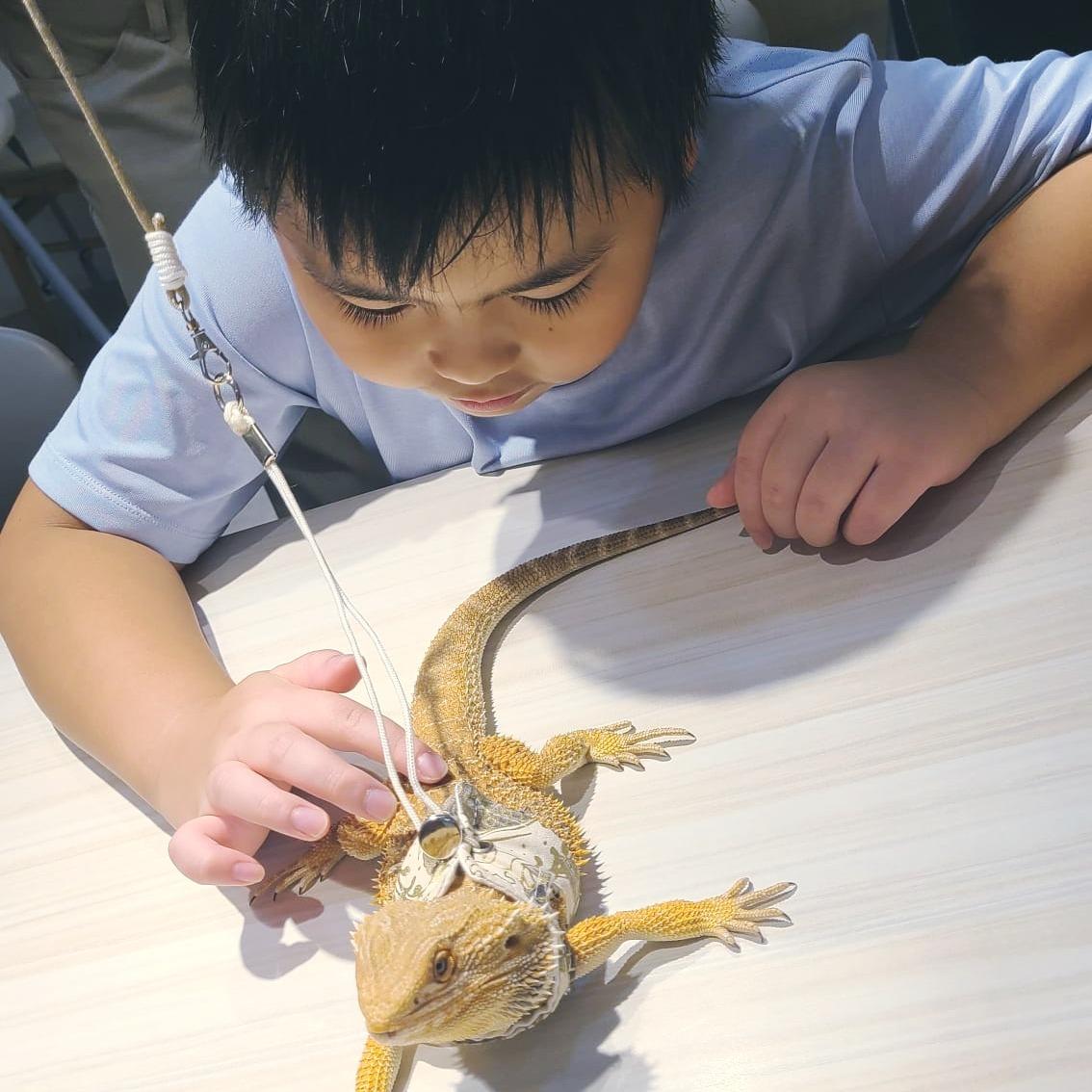 7大室內遊樂場|1. 銅鑼灣、荔枝角 大樹先生的家