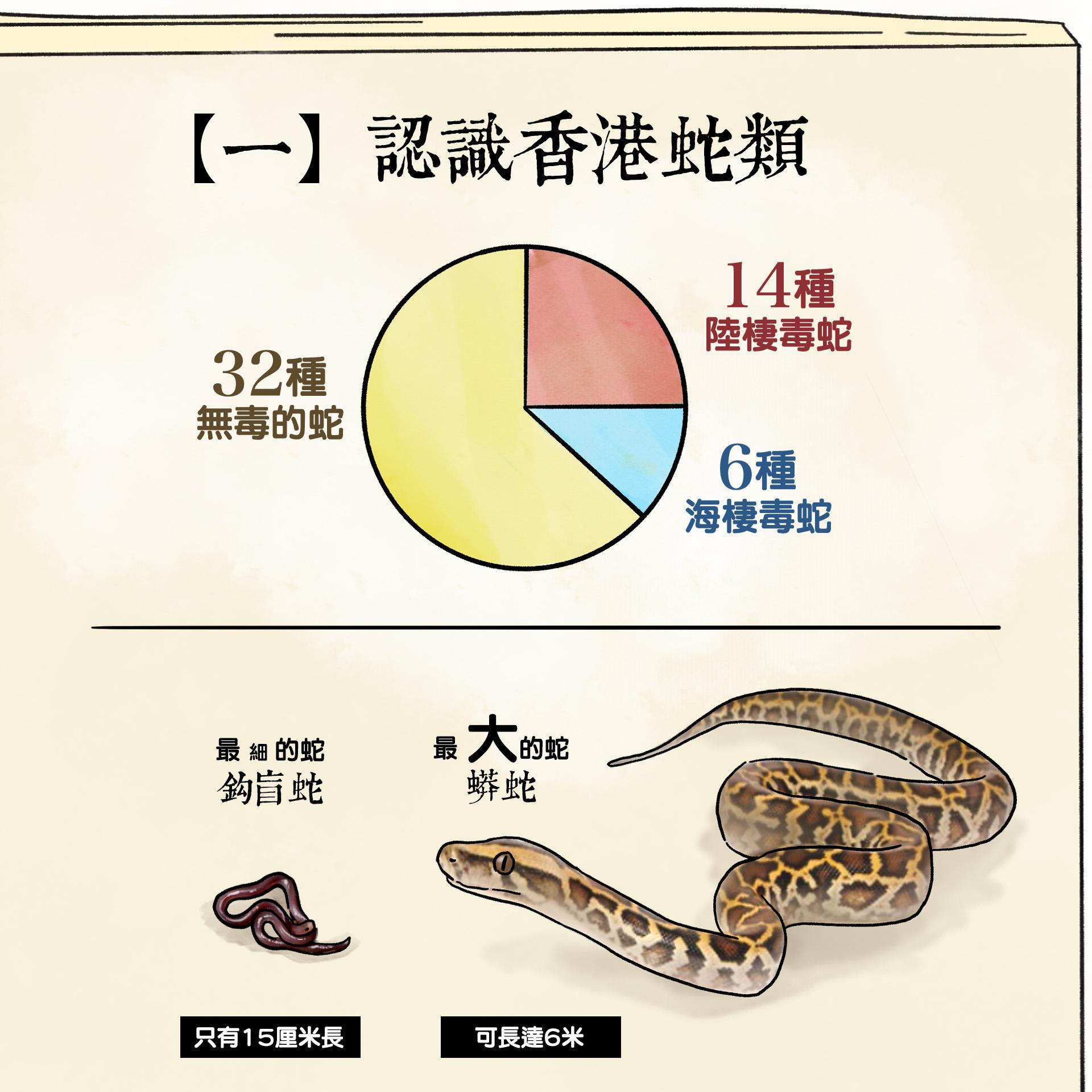 被蛇咬處理|認識香港蛇類(香港郊野公園FB)