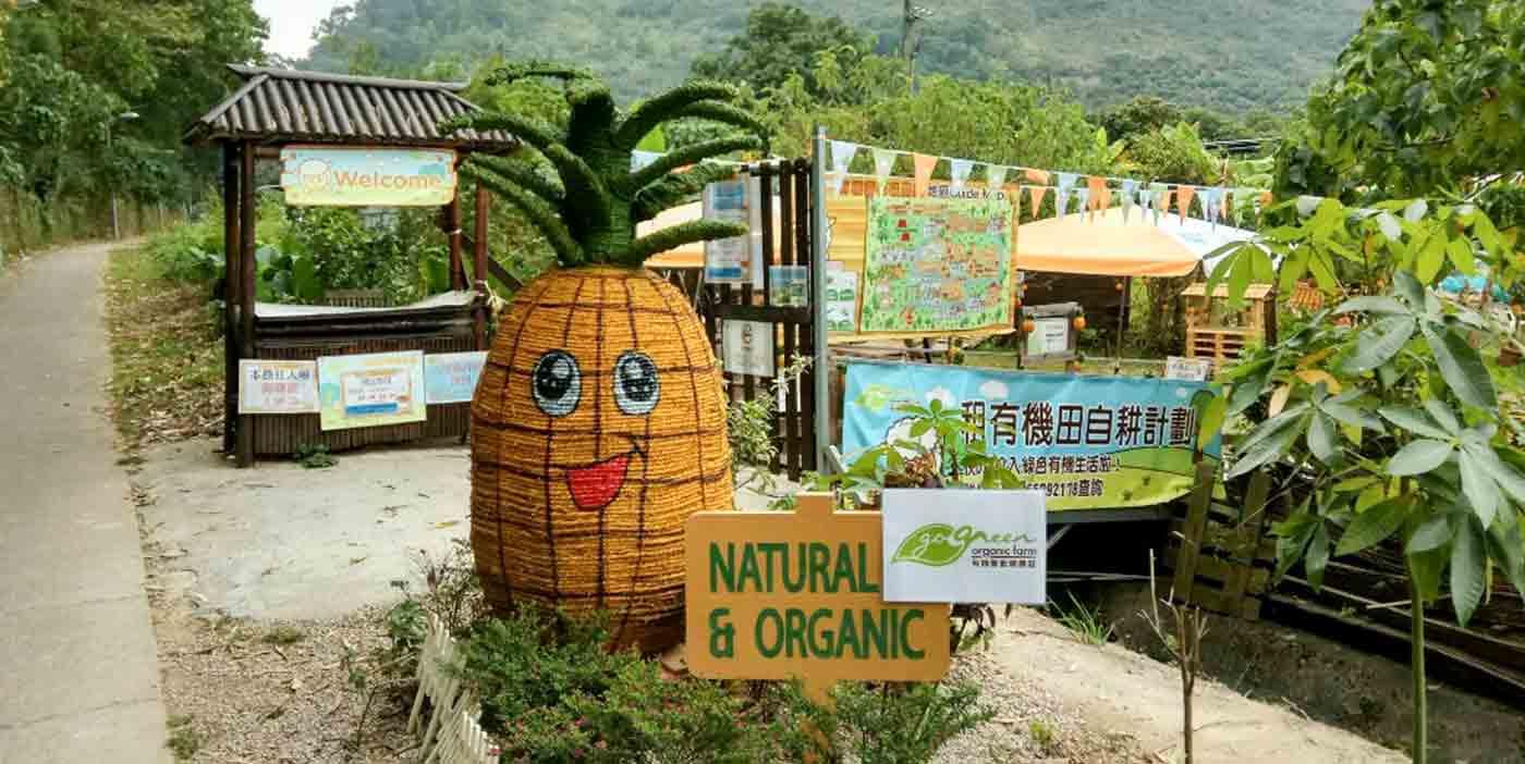 親子農莊推介|5. 元朗菠蘿園有機薈低碳農莊