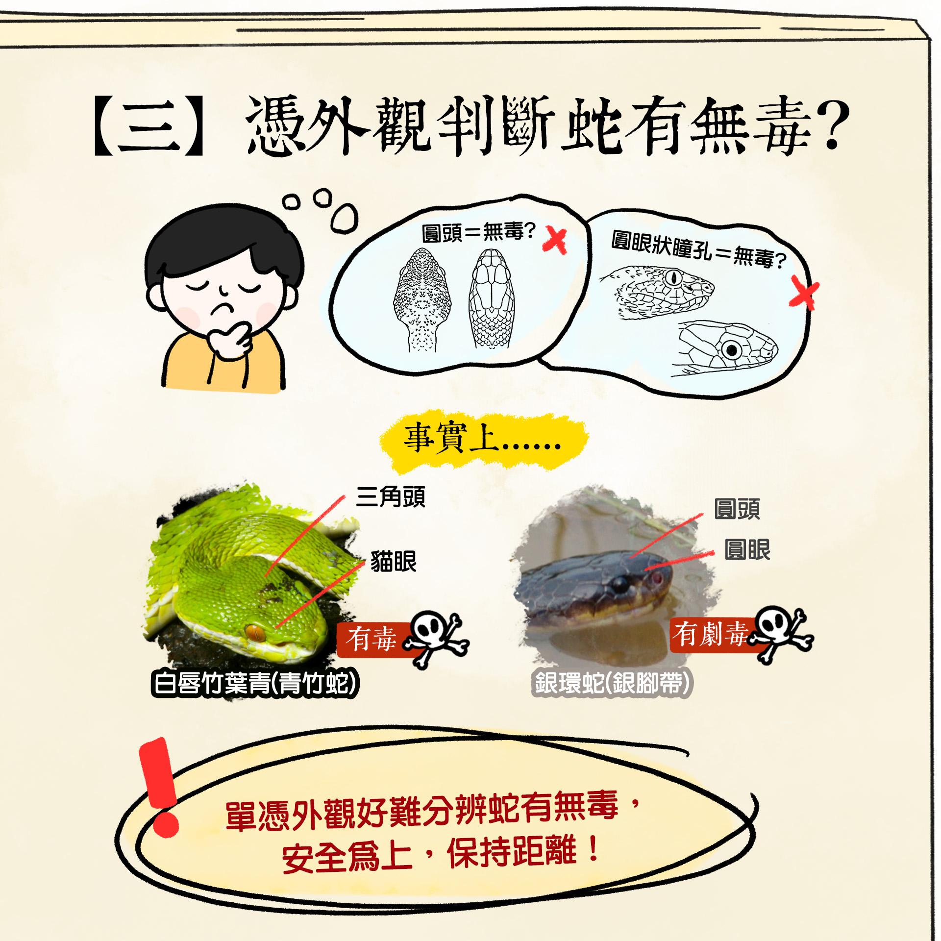 被蛇咬處理|憑外觀判斷蛇有無毒?(香港郊野公園FB)