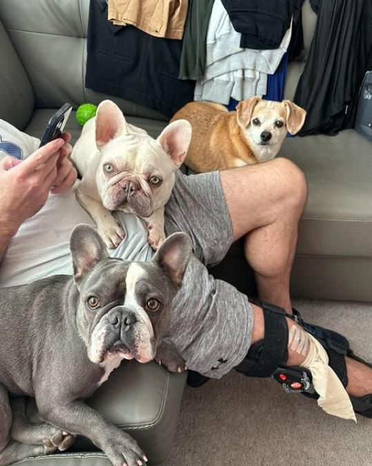 美國一對夫婦因為搬屋,帶著3隻狗狗搭機從夏威夷飛往俄勒岡州展開新生活。(IG)