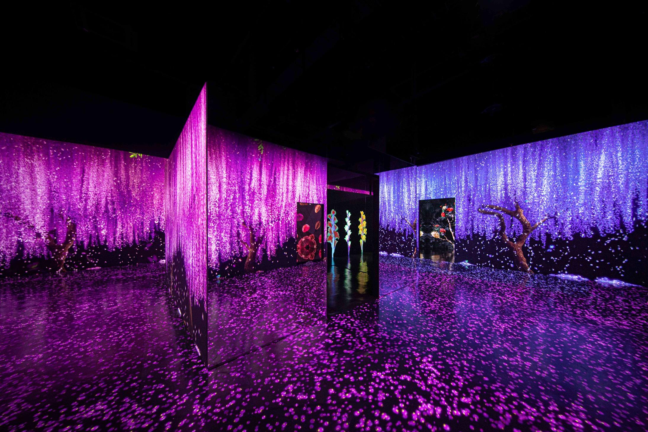 FLOWER ZONE:花開花落花謝 詩意和美感兼備