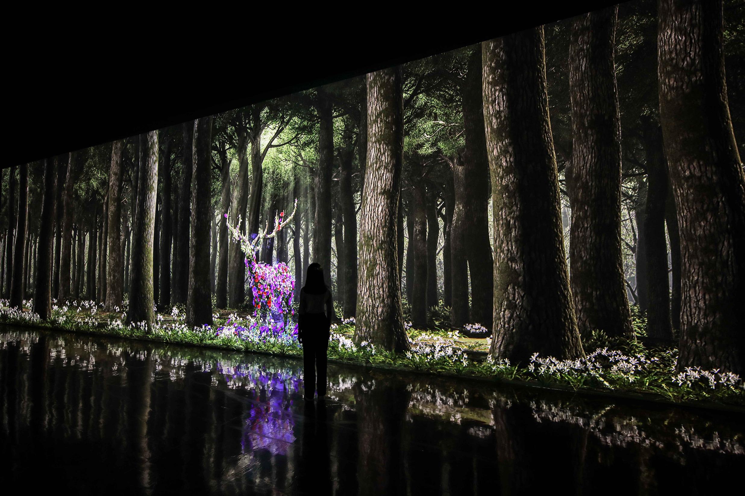 FOREST ZONE:四季更替,由四位森林精靈守護水、風、土、火