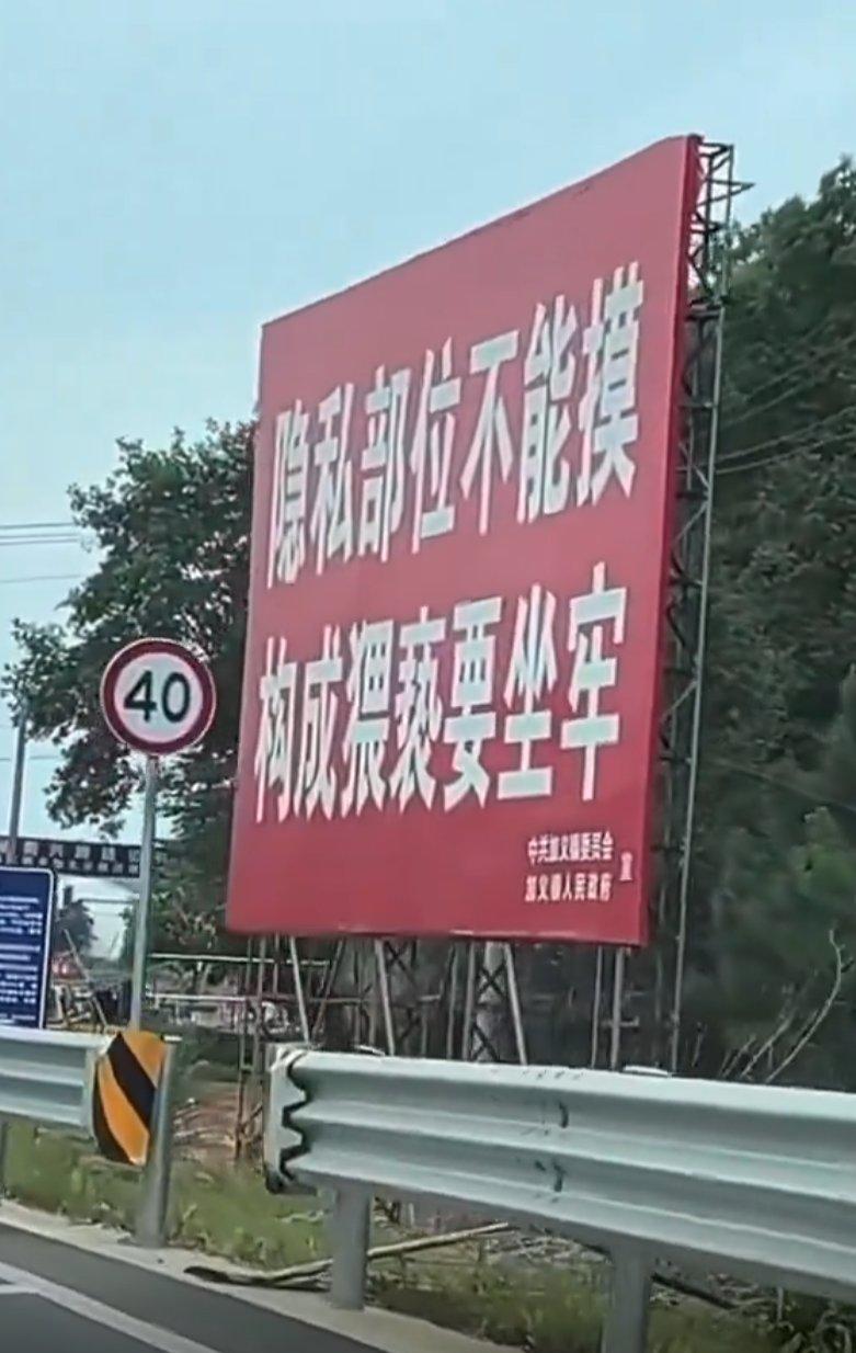 一名司機開車行經湖南省岳陽市平江縣加義鎮時,發現道路兩側竟掛了大量保護未成年女子的相關宣傳板(影片截圖)