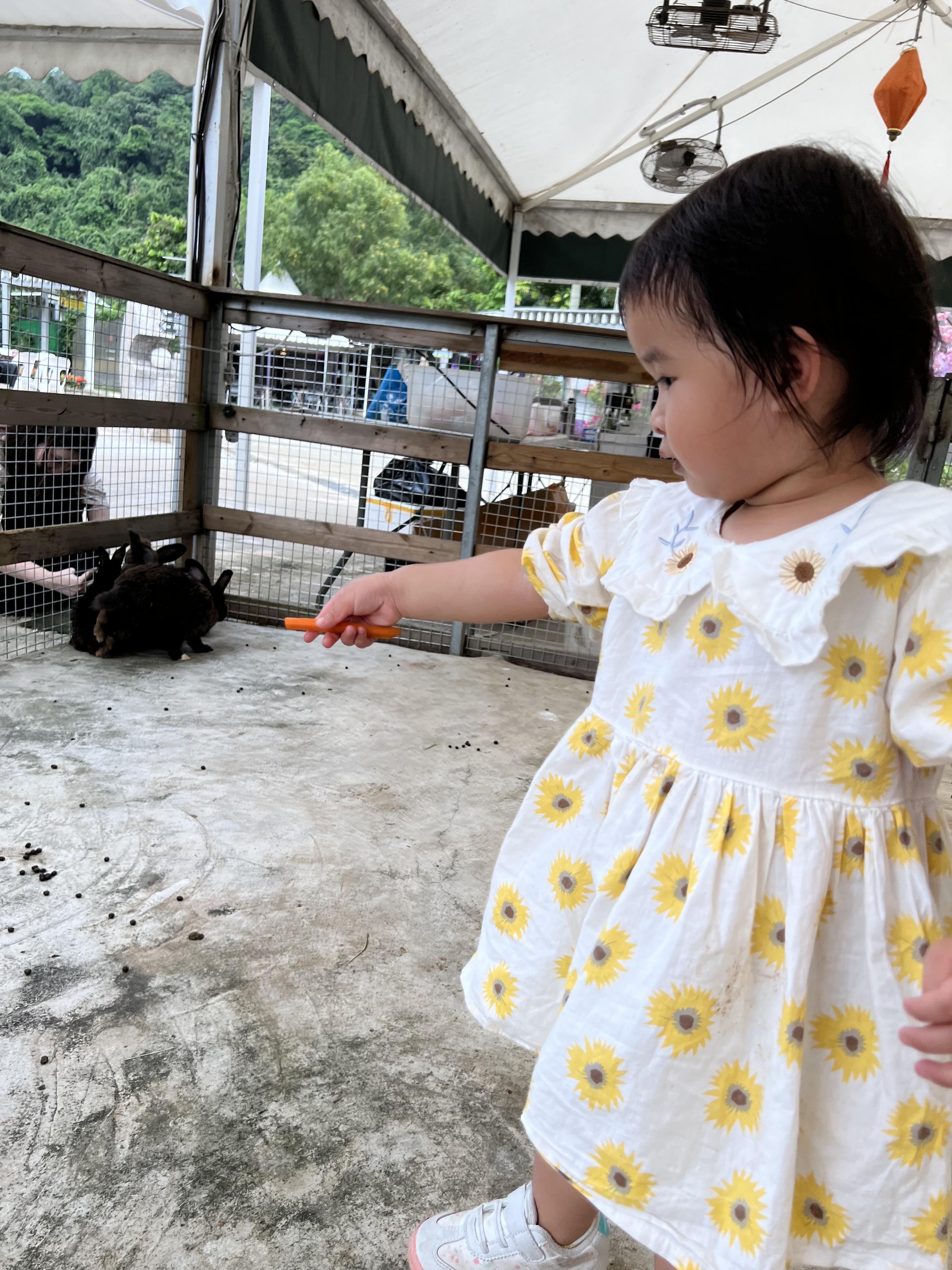 親子農莊推介|2. 大埔蝶豆花園