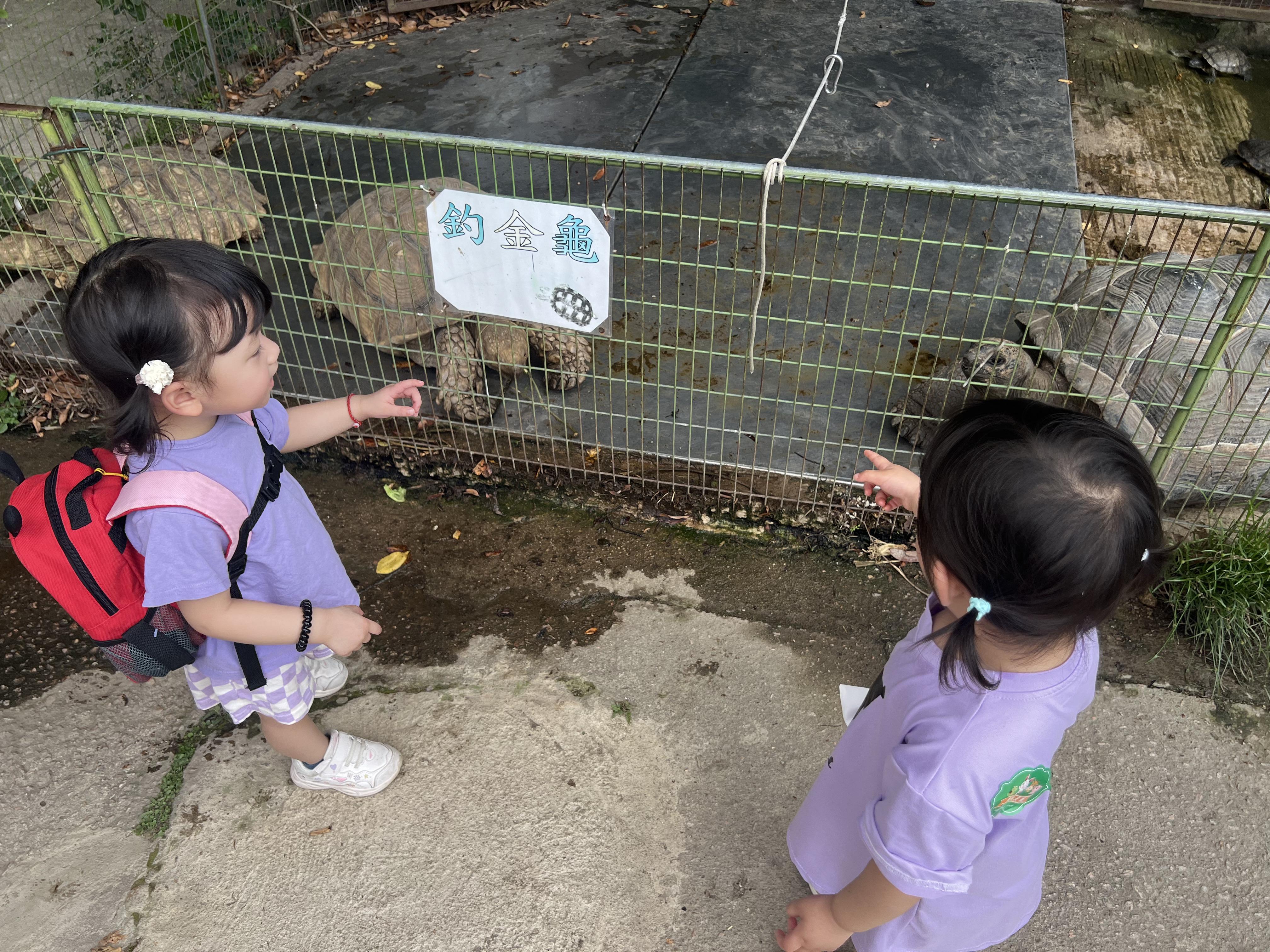 親子農莊推介|1. 上水假日農場