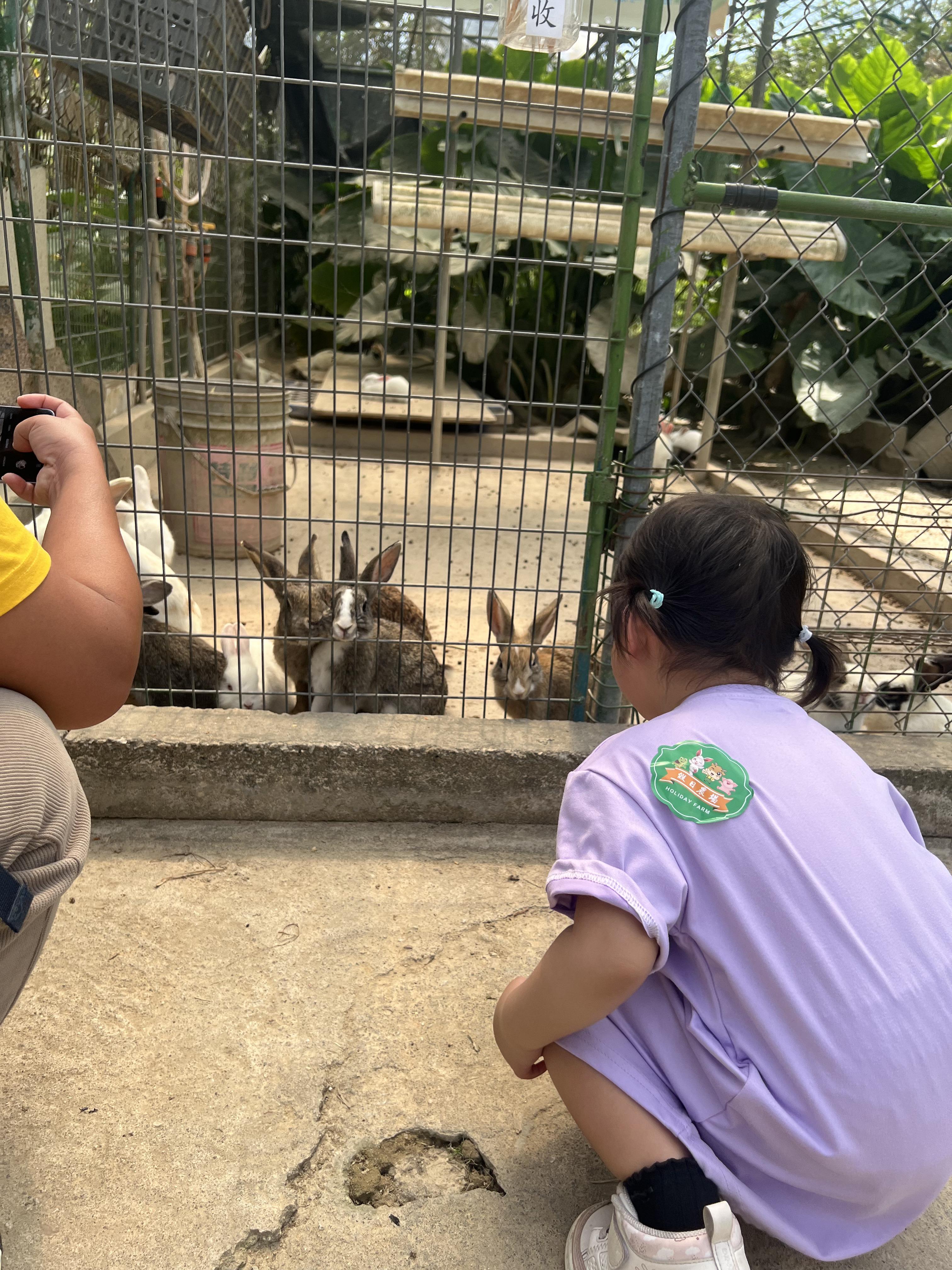 親子農莊推介|1. 上水假日農場