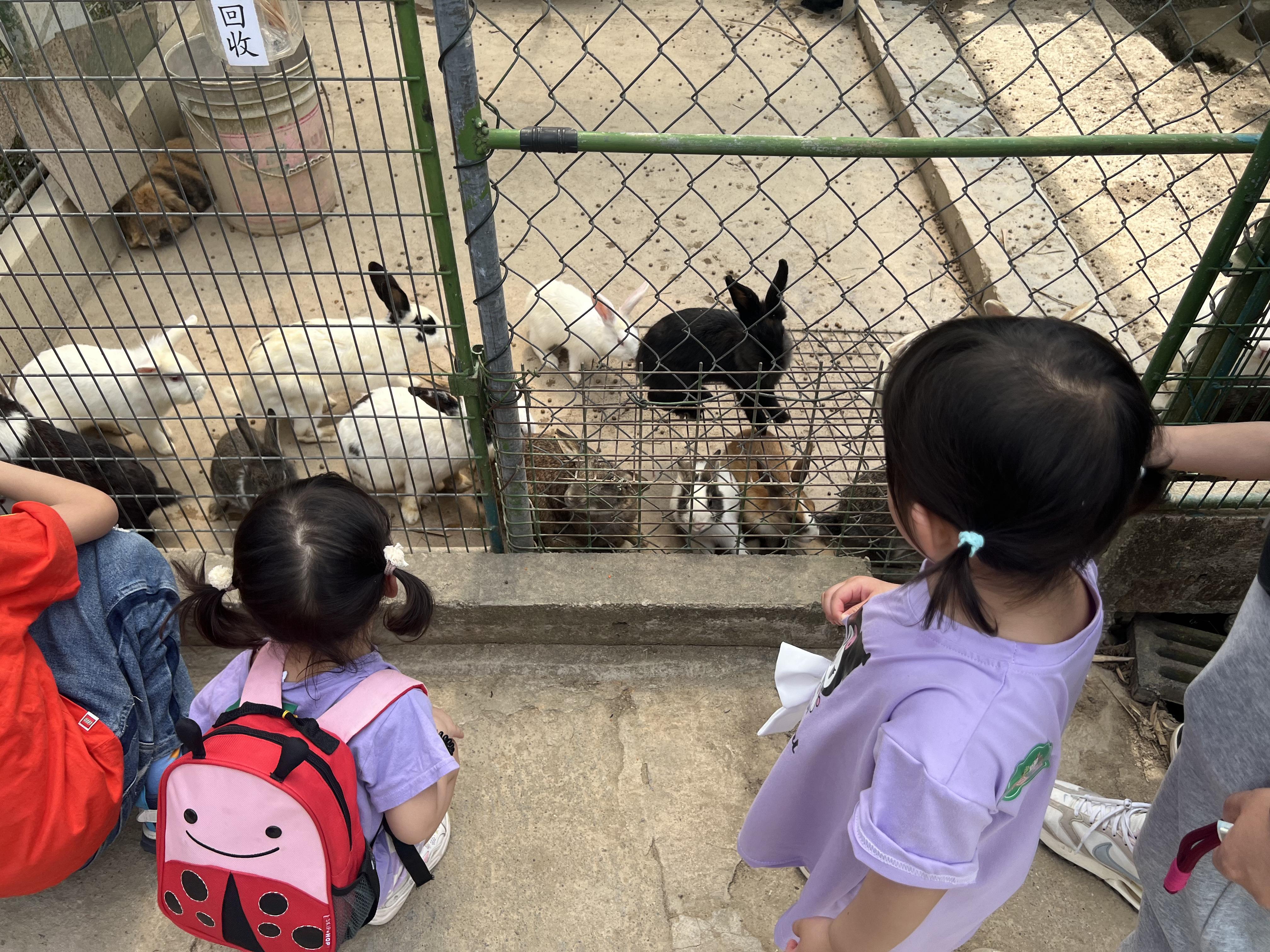 親子農莊推介|1. 上水假日農場