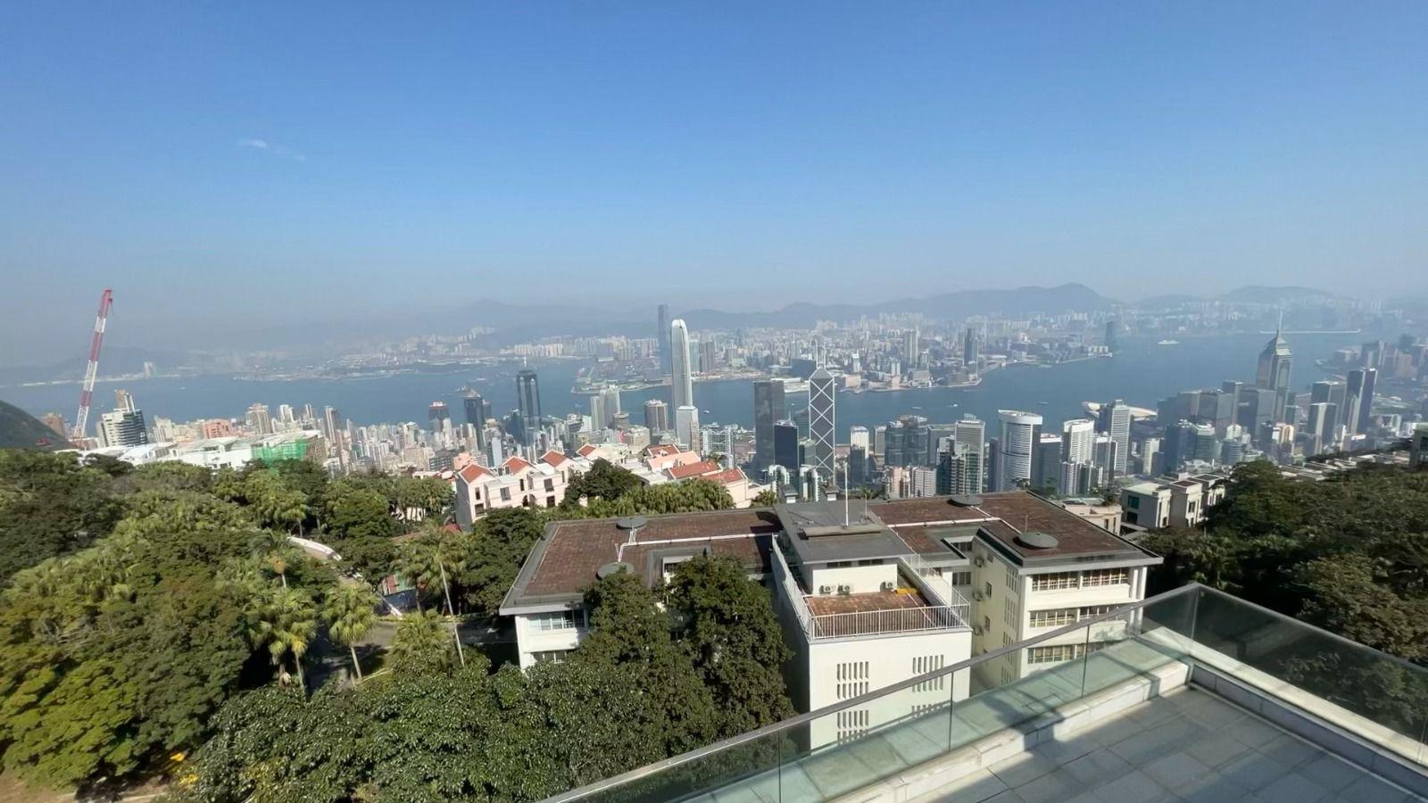 超級豪宅項目山頂種植道46號,由4幢洋房組成,位置居高臨下,景觀非常吸睛。