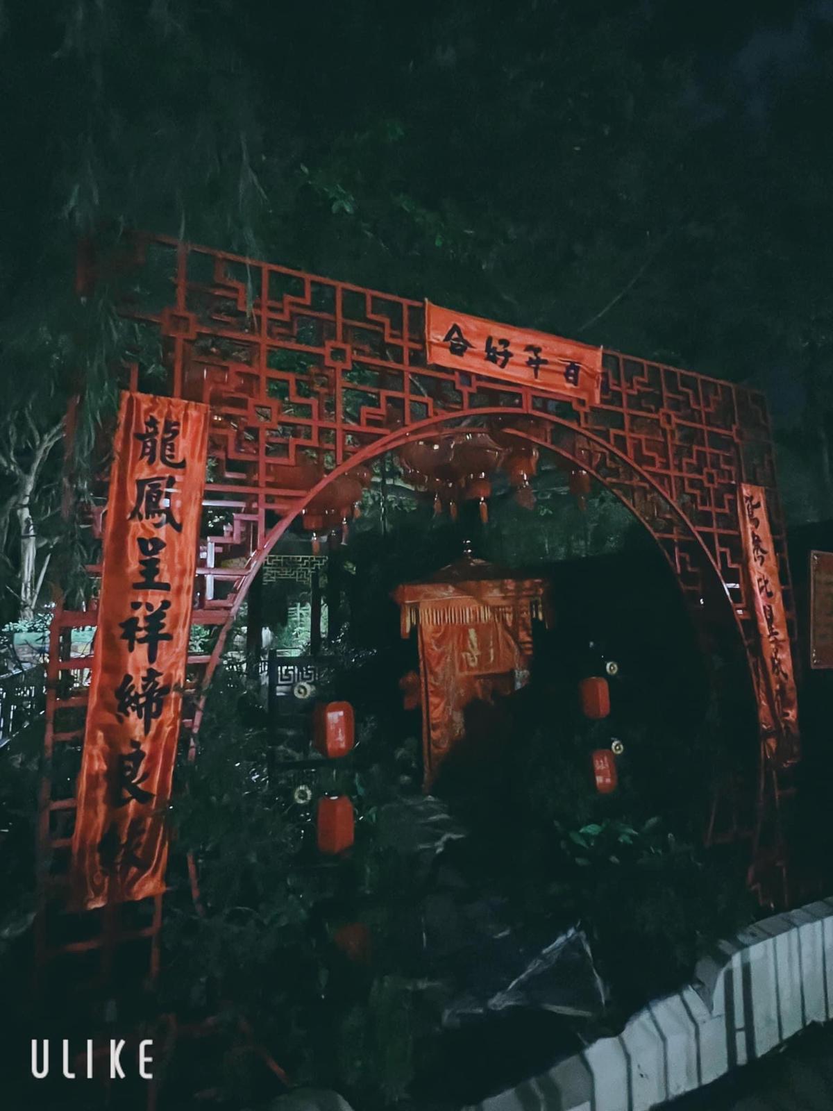 圖片來源:Facebook@大埔TAI PO