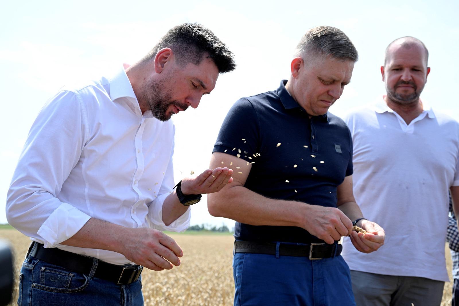 斯洛伐克總理菲佐(Robert Fico)在槍傷後康復,昨撐拐杖檢查當地穀物收成情況。(美聯社)