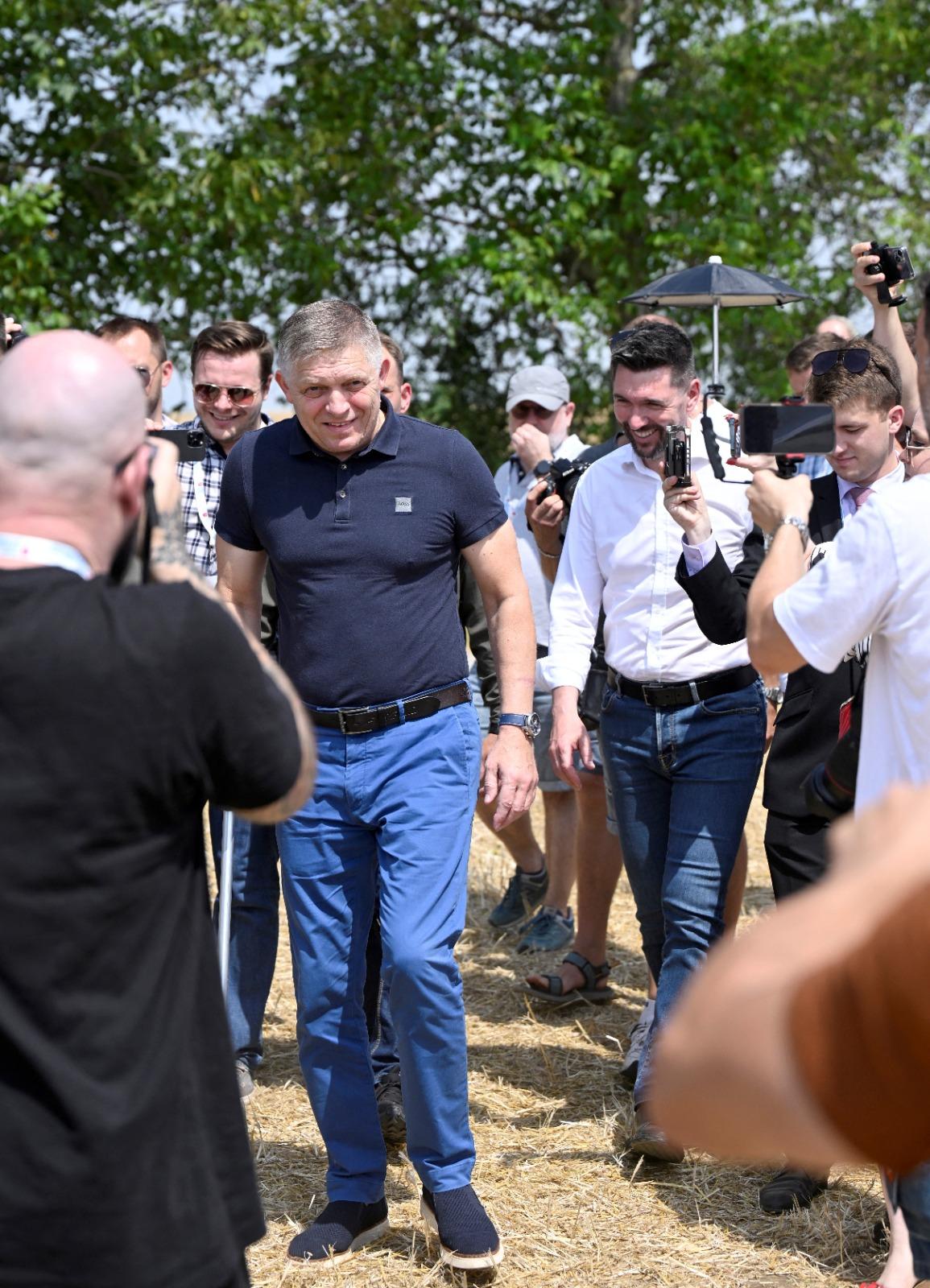 斯洛伐克總理菲佐(Robert Fico)在槍傷後康復,昨撐拐杖檢查當地穀物收成情況。(美聯社)