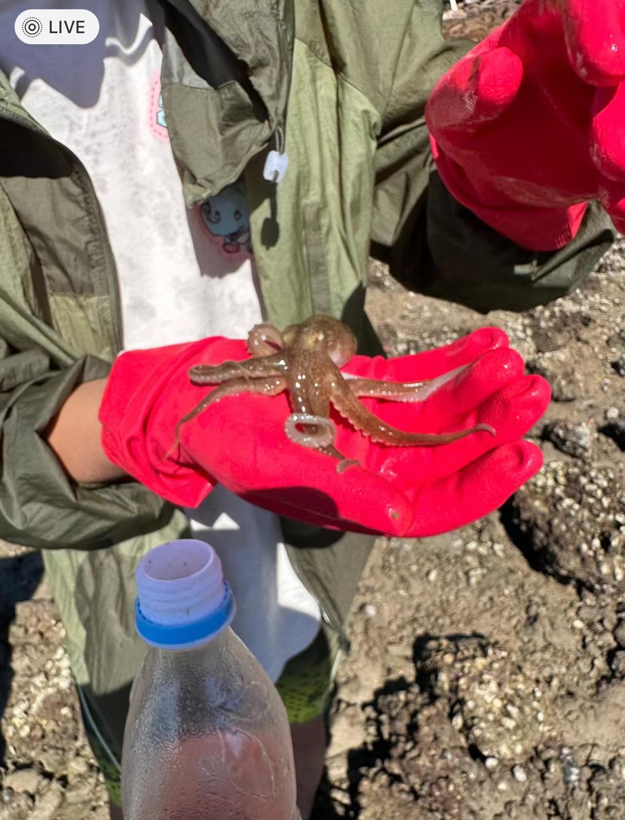 圖片來源:小紅書