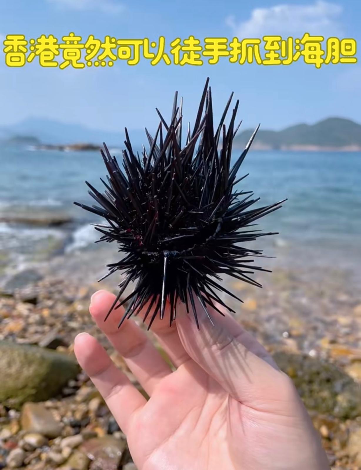 圖片來源:小紅書