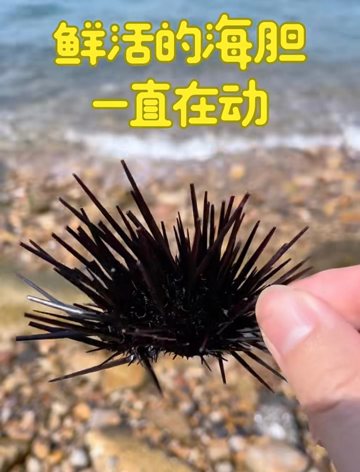 圖片來源:小紅書