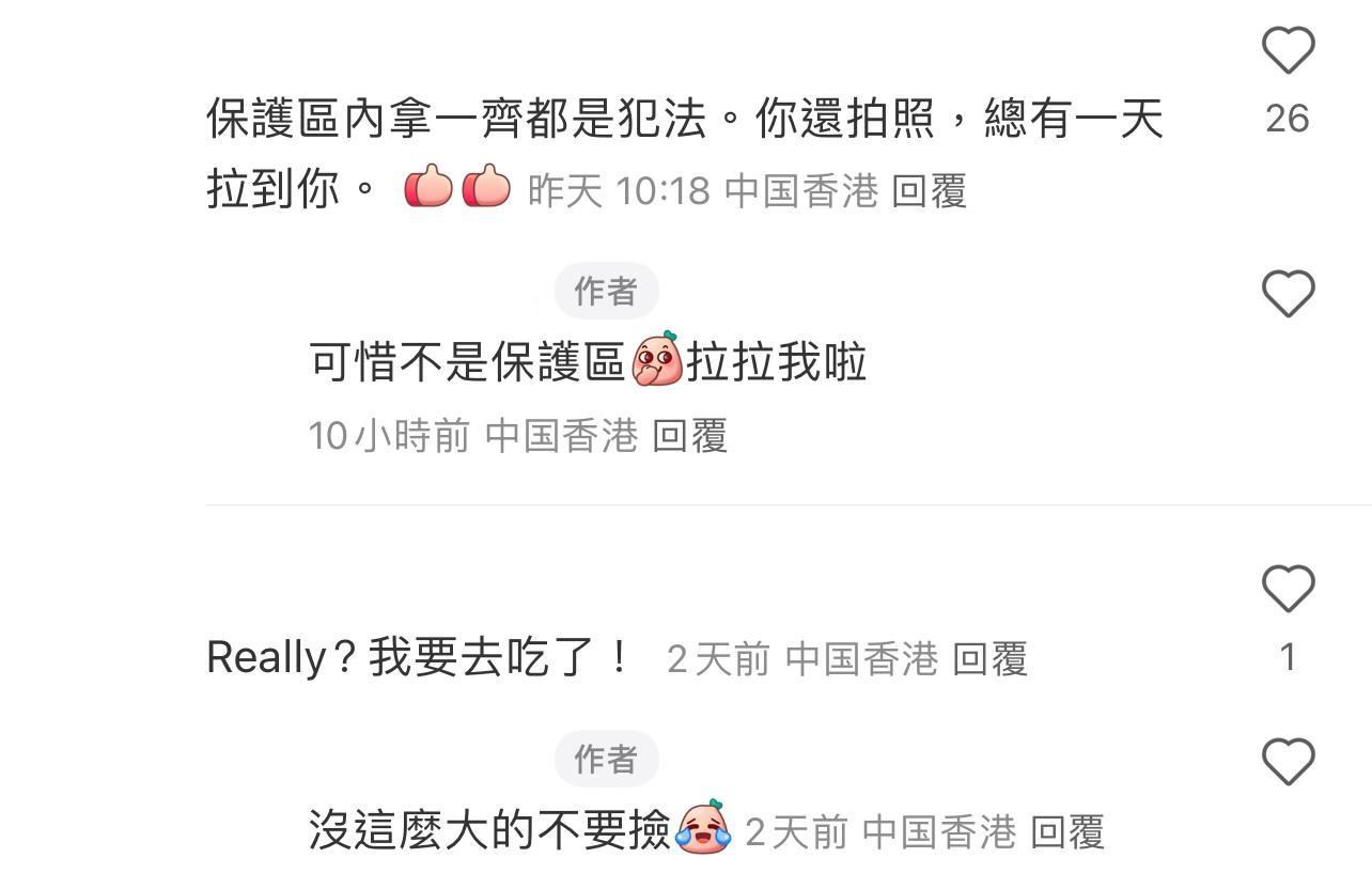 圖片來源:小紅書